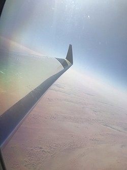 Wing